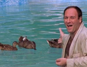 duck typing