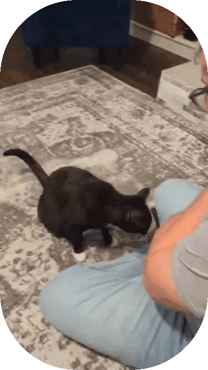 reinforcement learning in action