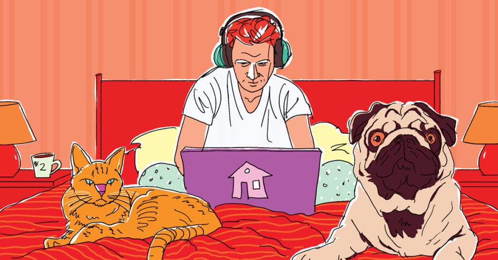 illustration of working from home dog cat in bed